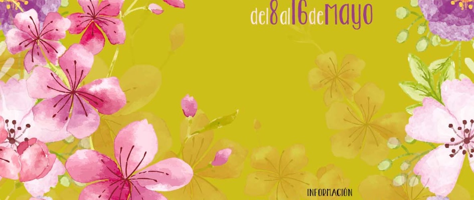 18-05-04 CARTEL CRUCES DE MAYO 2018