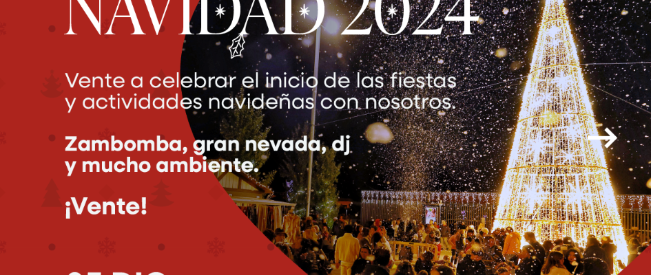 24-11-28 DIS Alumbrao-RRSS-1