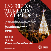 24-11-28 DIS Alumbrao-RRSS-1