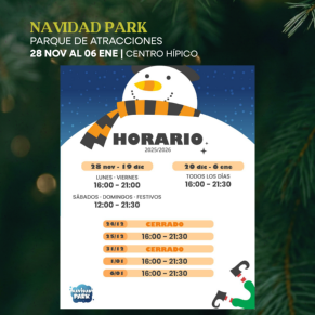 RRSS-CiudadNavidad-2025-7