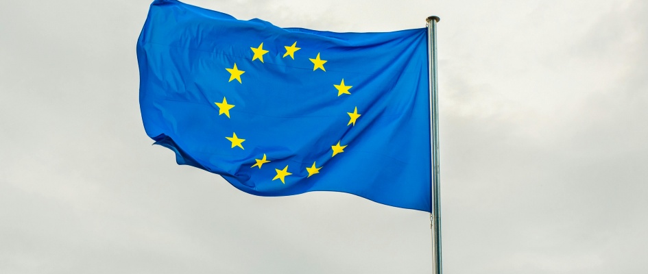 dusan-cvetanovic-254415846-12541596