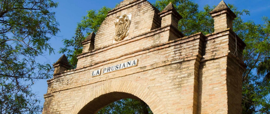 DZM_20160524_0001 ok