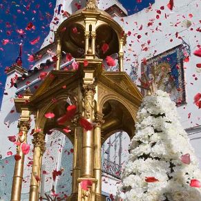 08-05-25_044 1600x500