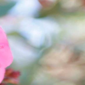 08-06-02_003 1600x500