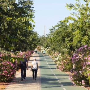 6 DZM_AY_20210614_054