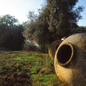 6149898684_0541e45960_o