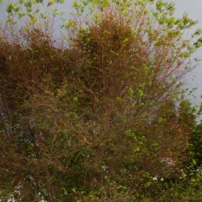 DZM_20150928_0003 1600x500