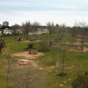 cabecera-sostenibilidad