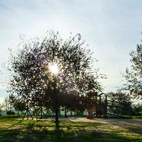 porzuna_005 1600x500