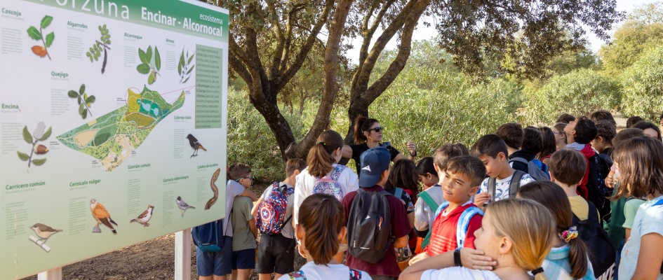 DZM_AYTO_20221018_002