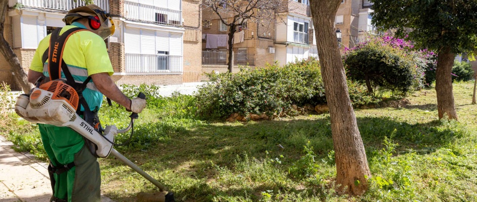 DZM_AYTO_20240306_0053 red