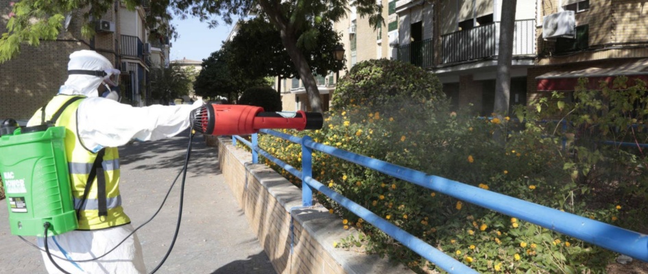 Mosquito Mairena archivo