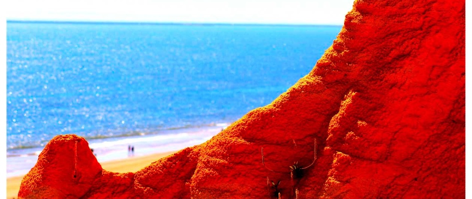 exposicionfernandolora